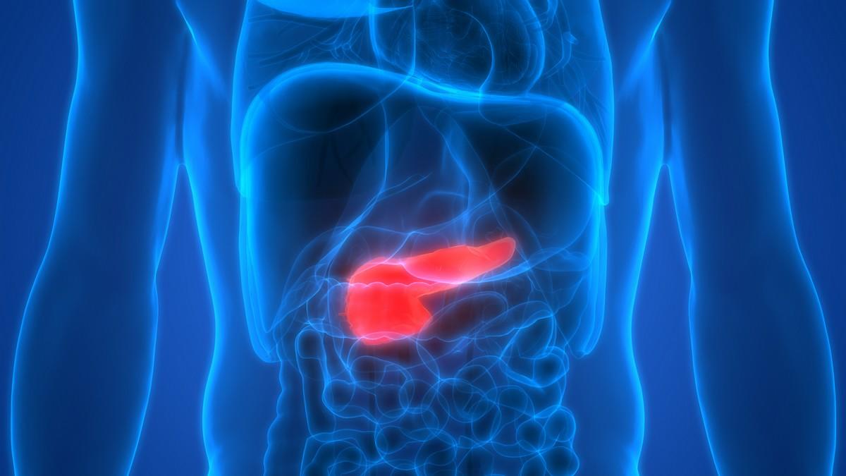 Pancreas specialist in Navi Mumbai